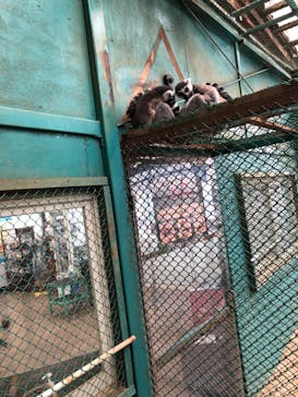 東北サファリパークに投稿された画像（2022/5/1）