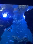 京都水族館に投稿された画像（2022/5/1）