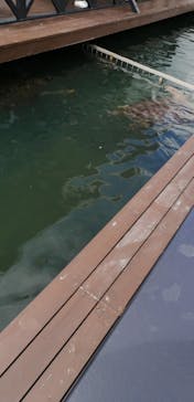 串本海中公園水族館に投稿された画像（2022/5/1）