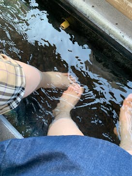 伊豆パノラマパークに投稿された画像（2022/5/1）