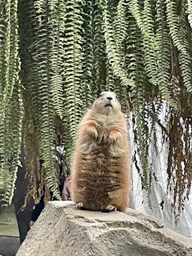 神戸どうぶつ王国に投稿された画像（2022/5/1）
