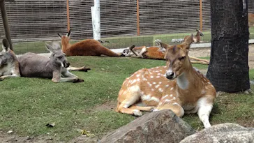 神戸どうぶつ王国に投稿された画像（2022/5/1）