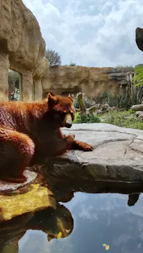 神戸どうぶつ王国に投稿された画像（2022/5/1）