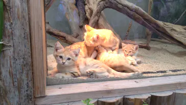 神戸どうぶつ王国に投稿された画像（2022/5/1）