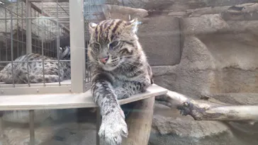 神戸どうぶつ王国に投稿された画像（2022/5/1）