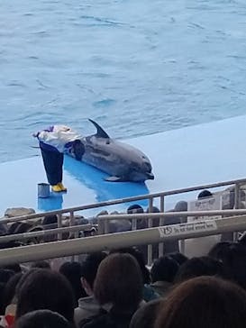 名古屋港水族館に投稿された画像（2022/5/1）