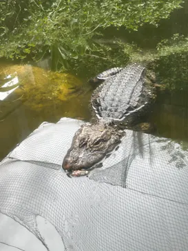 天王寺動物園に投稿された画像（2022/5/1）