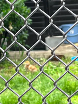 天王寺動物園に投稿された画像（2022/5/1）