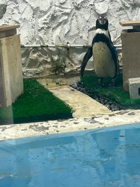 天王寺動物園に投稿された画像（2022/5/1）