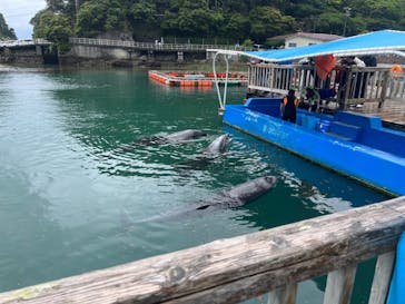 下田海中水族館に投稿された画像（2022/5/1）