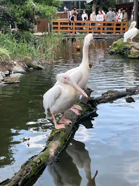 神戸どうぶつ王国に投稿された画像（2022/5/1）