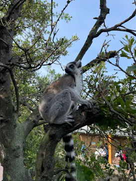 神戸どうぶつ王国に投稿された画像（2022/5/1）
