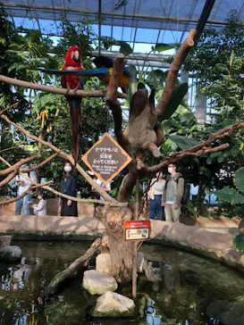 神戸どうぶつ王国に投稿された画像（2022/5/1）