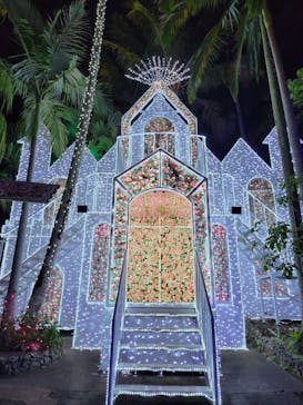 美らヤシパークオキナワ・東南植物楽園に投稿された画像（2022/5/1）