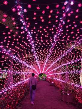 美らヤシパークオキナワ・東南植物楽園に投稿された画像（2022/5/1）