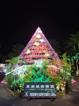 美らヤシパークオキナワ・東南植物楽園に投稿された画像（2022/5/1）