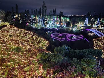 美らヤシパークオキナワ・東南植物楽園に投稿された画像（2022/5/1）