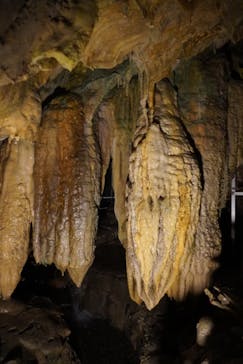 あぶくま洞に投稿された画像（2022/5/1）