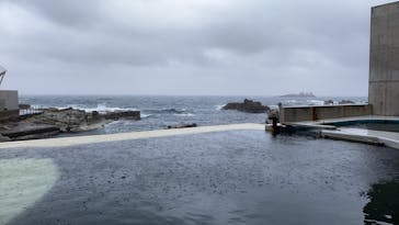 城崎マリンワールドに投稿された画像（2022/5/1）