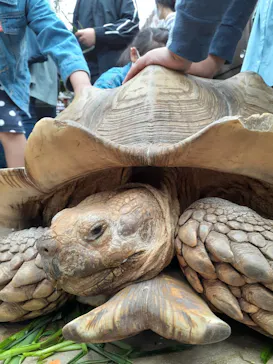 神戸どうぶつ王国に投稿された画像（2022/5/1）