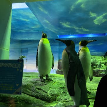 島根県立 しまね海洋館に投稿された画像（2022/5/1）