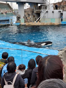 名古屋港水族館に投稿された画像（2022/5/1）
