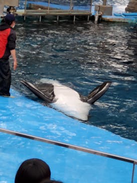 名古屋港水族館に投稿された画像（2022/5/1）