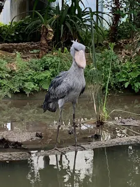 神戸どうぶつ王国に投稿された画像（2022/5/1）