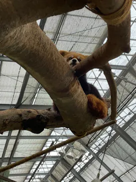 神戸どうぶつ王国に投稿された画像（2022/5/1）