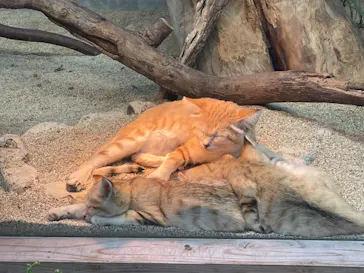神戸どうぶつ王国に投稿された画像（2022/5/1）