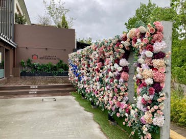 三田天然温泉　寿ノ湯に投稿された画像（2022/5/1）