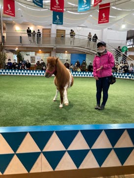 ノーザンホースパークに投稿された画像（2022/5/1）