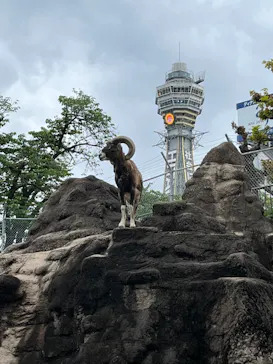 天王寺動物園に投稿された画像（2022/5/1）