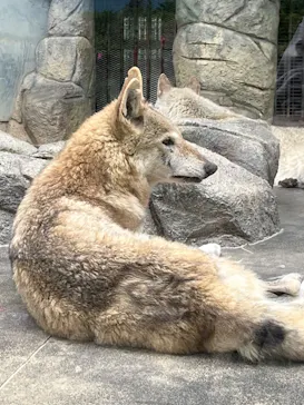 天王寺動物園に投稿された画像（2022/5/1）