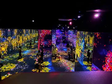 森ビル デジタルアート ミュージアム：エプソン チームラボボーダレスに投稿された画像（2022/5/1）
