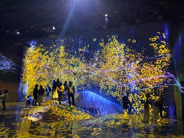 森ビル デジタルアート ミュージアム：エプソン チームラボボーダレスに投稿された画像（2022/5/1）