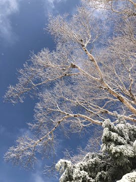 熊の湯スキー場に投稿された画像（2022/5/2）