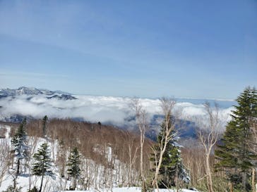 志賀高原マウンテンリゾートに投稿された画像（2022/5/2）