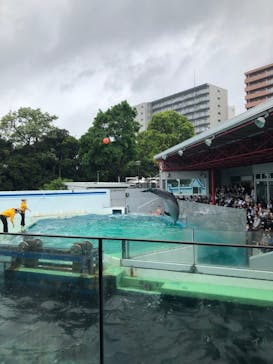 しながわ水族館に投稿された画像（2022/5/2）