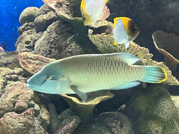 城崎マリンワールドに投稿された画像（2022/5/2）