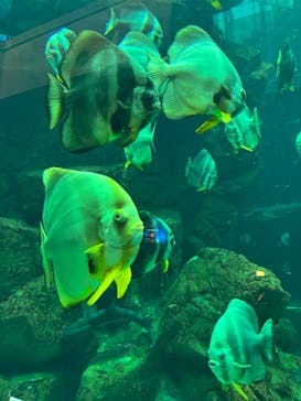 城崎マリンワールドに投稿された画像（2022/5/2）