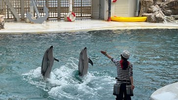 城崎マリンワールドに投稿された画像（2022/5/2）