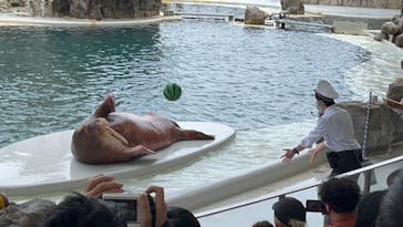 城崎マリンワールドに投稿された画像（2022/5/2）