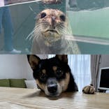 城崎マリンワールドに投稿された画像（2022/5/2）