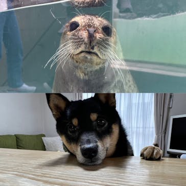 城崎マリンワールドに投稿された画像（2022/5/2）