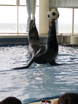 アクアワールド茨城県大洗水族館に投稿された画像（2022/5/2）