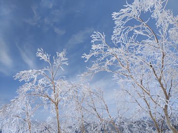 志賀高原マウンテンリゾートに投稿された画像（2022/5/2）