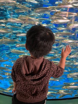 アクアワールド茨城県大洗水族館に投稿された画像（2022/5/2）