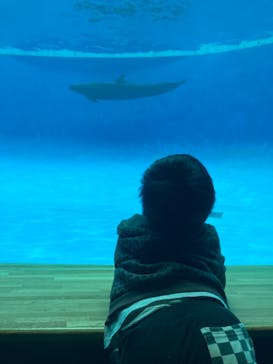 アクアワールド茨城県大洗水族館に投稿された画像（2022/5/2）