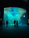 新江ノ島水族館に投稿された画像（2022/5/2）